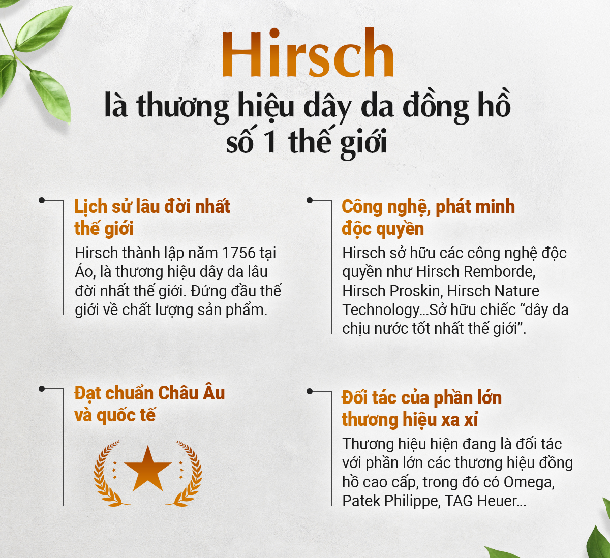 Dây da Hirsch James Performance - Ảnh 10