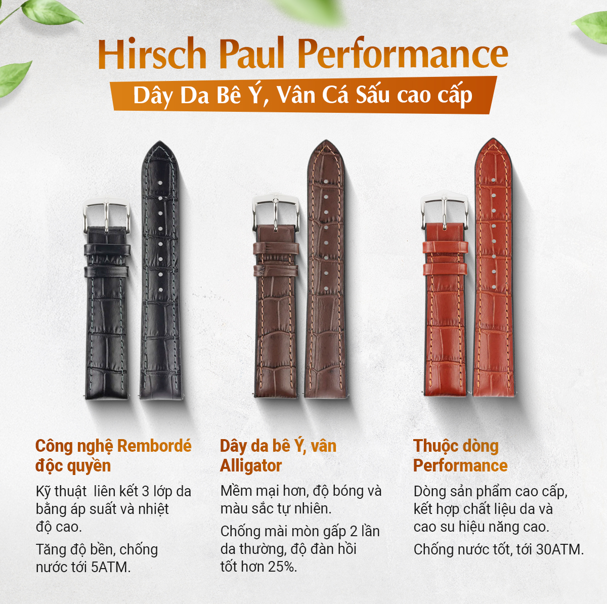 Dây da Hirsch Paul Performance - Ảnh 1