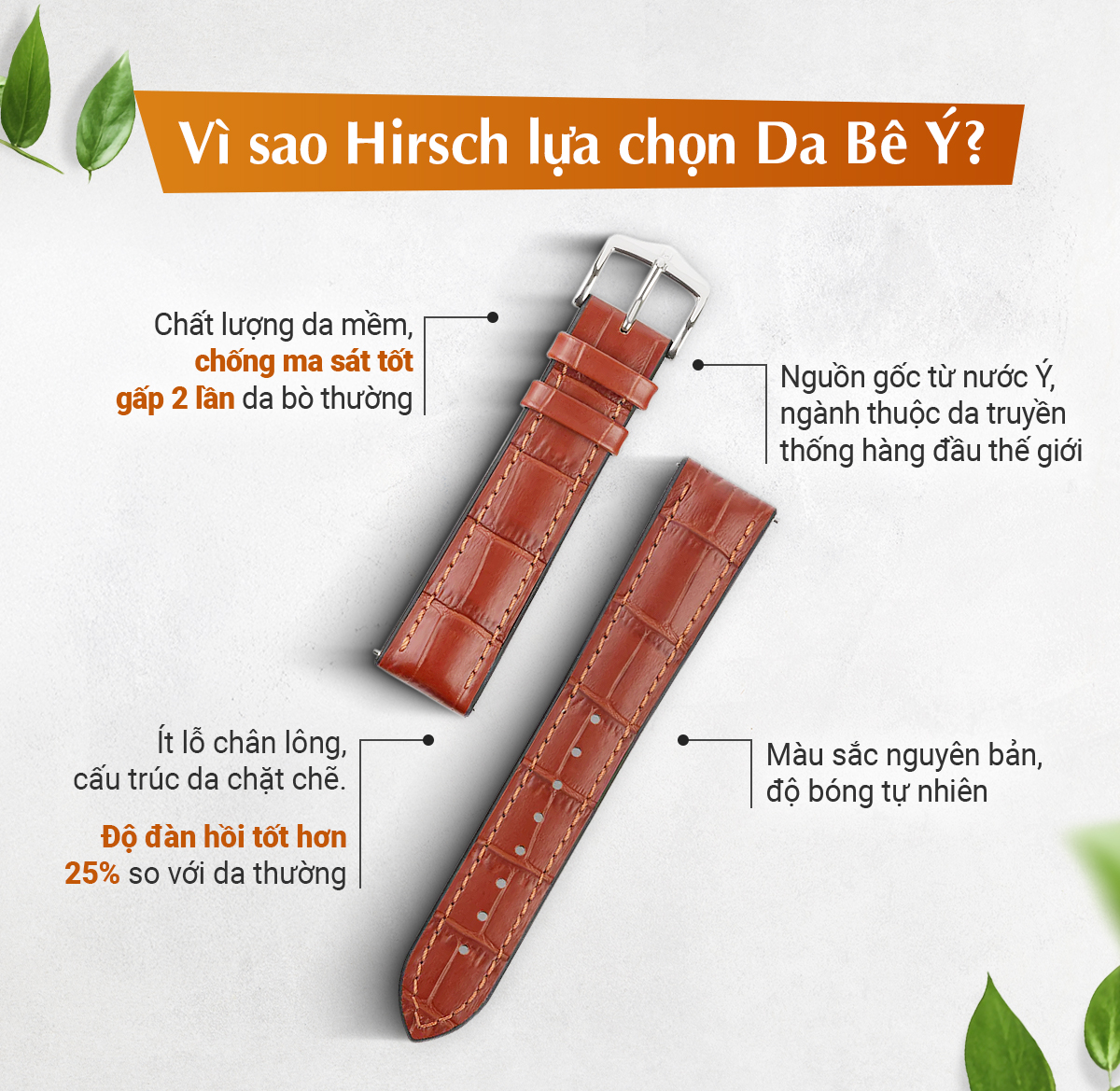 Dây da Hirsch Paul Performance - Ảnh 2