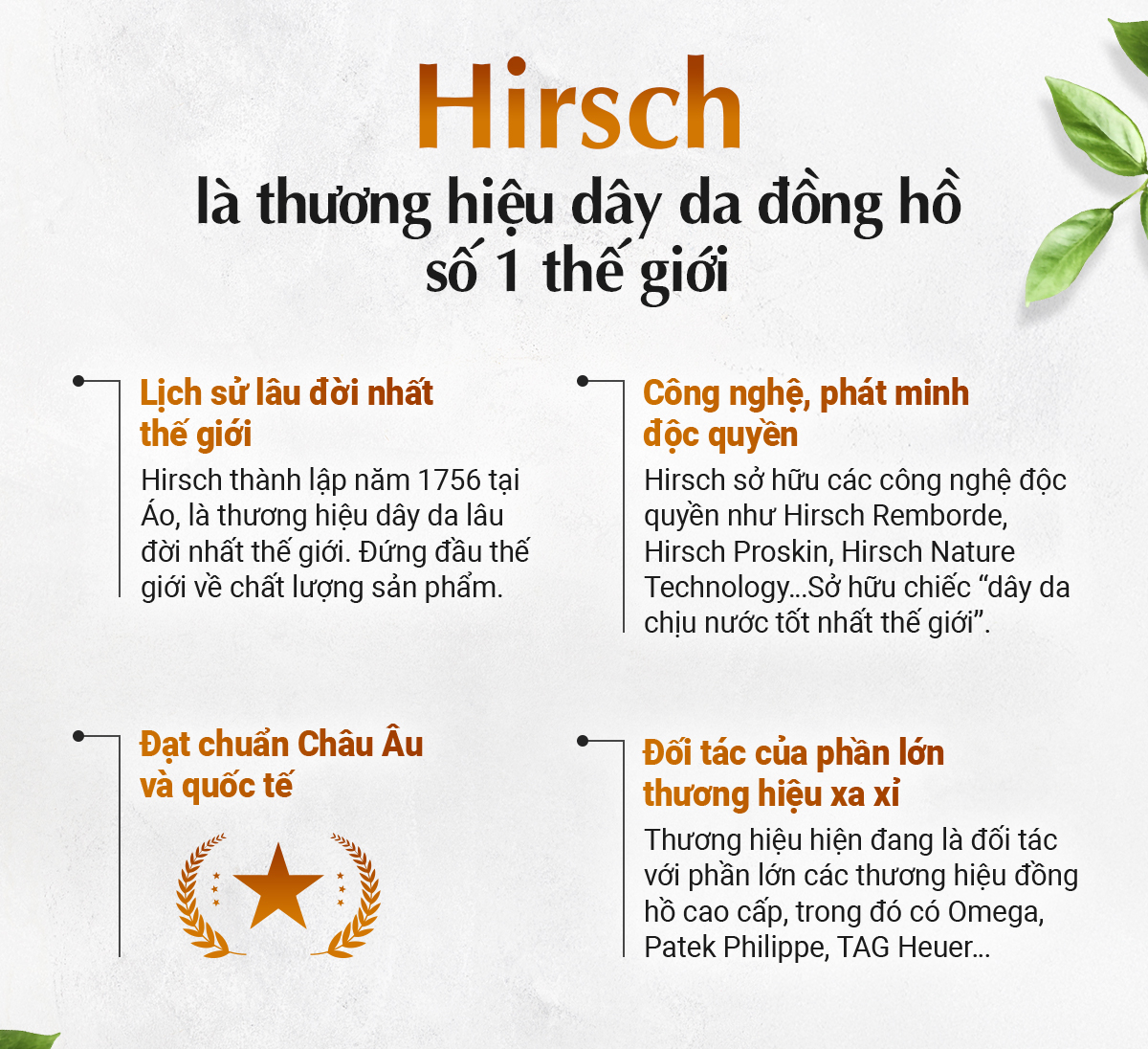 Dây da Hirsch Paul Performance - Ảnh 9