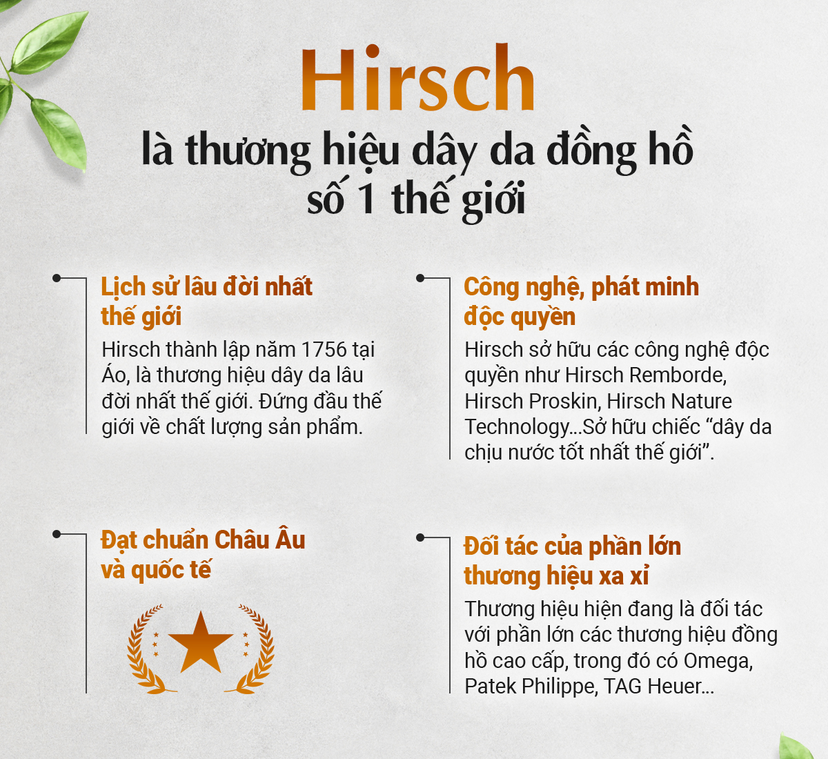 Dây da Hirsch Grand Duke - Ảnh 12