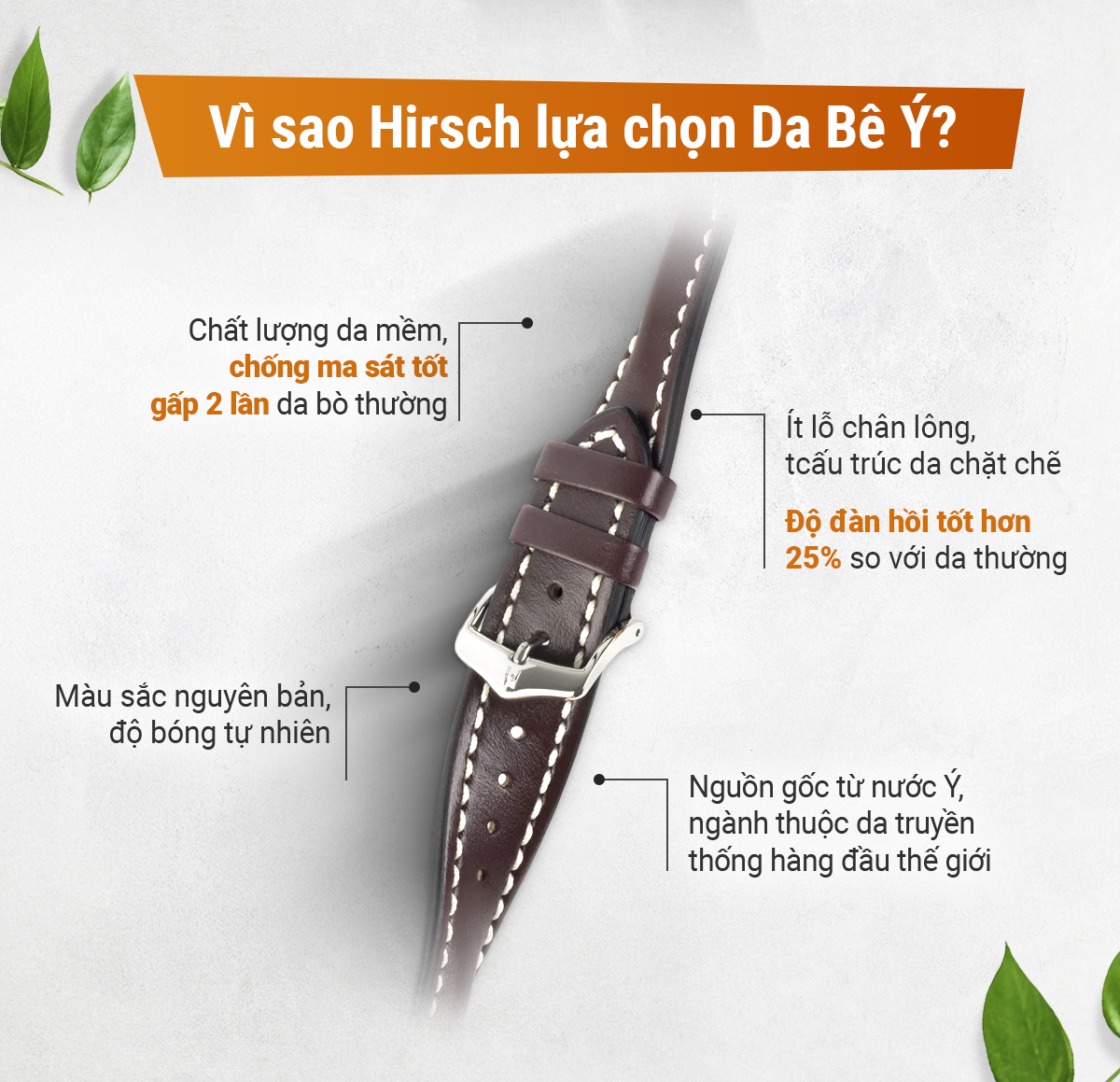Dây da Hirsch Heavy Calf - Ảnh 2