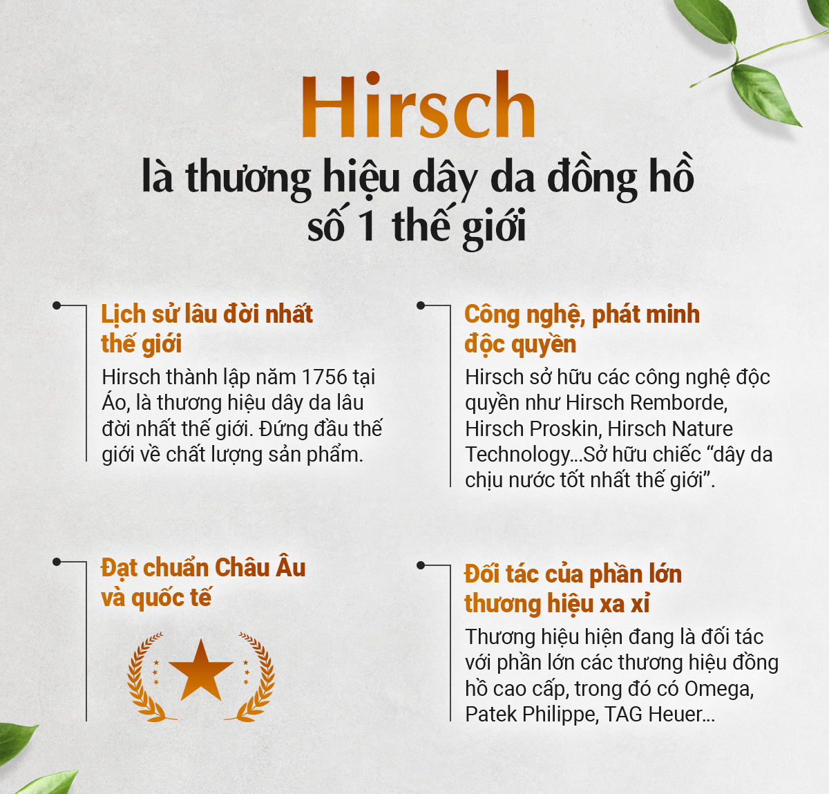 Dây da Hirsch Lucca - Ảnh 11