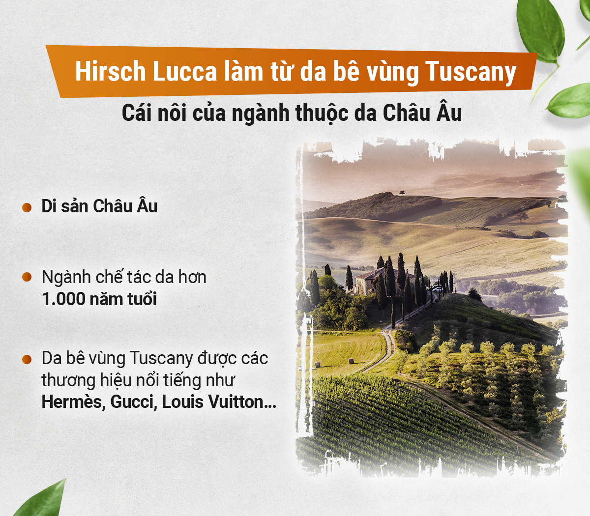 Dây da Hirsch Lucca - Ảnh 3
