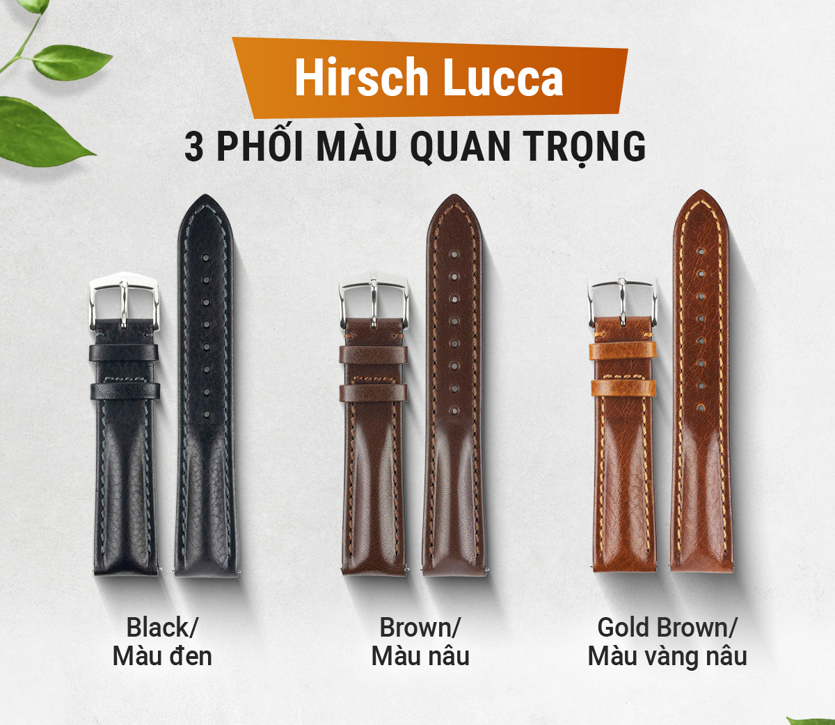 Dây da Hirsch Lucca - Ảnh 8