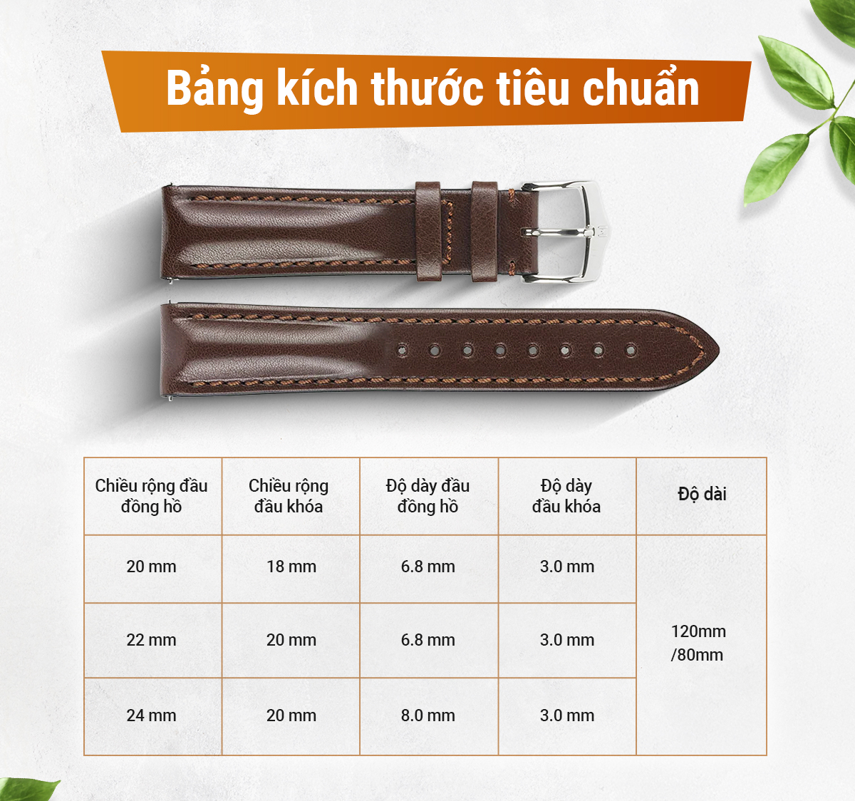 Dây da Hirsch Lucca - Ảnh 9
