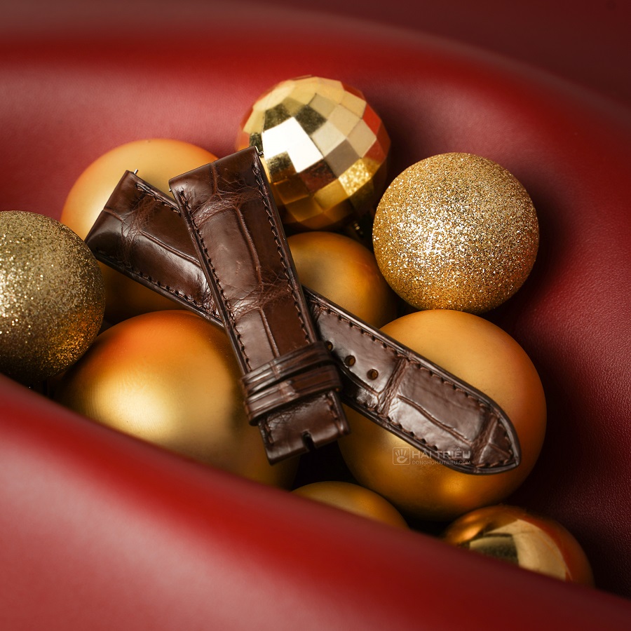 Masamu Square Crocodile - ảnh 2