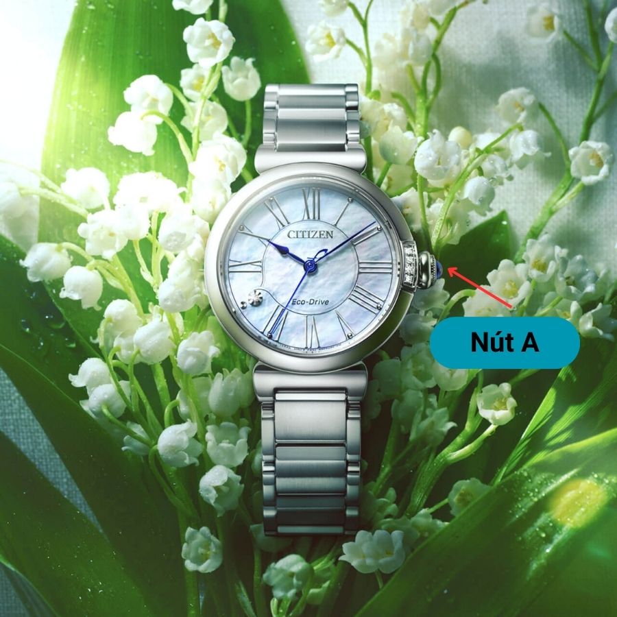 Cách chỉnh ngày đồng hồ Citizen Eco-Drive 1 nút đơn giản - ảnh 1