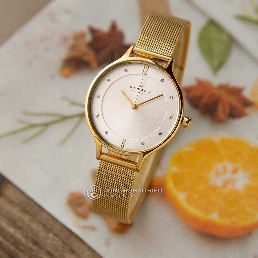 Đồng hồ Skagen dây lưới sang trọng