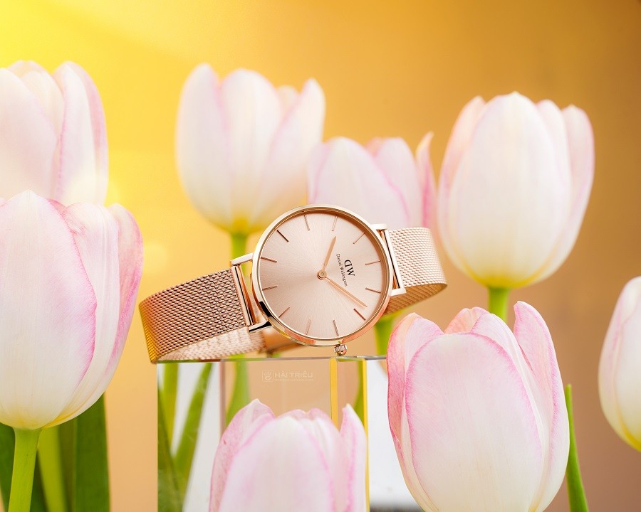 Daniel Wellington Petite DW00100471 Nữ Quartz (Pin) Mặt Số 32mm, Kính  Cứng, Chống Nước 3ATM