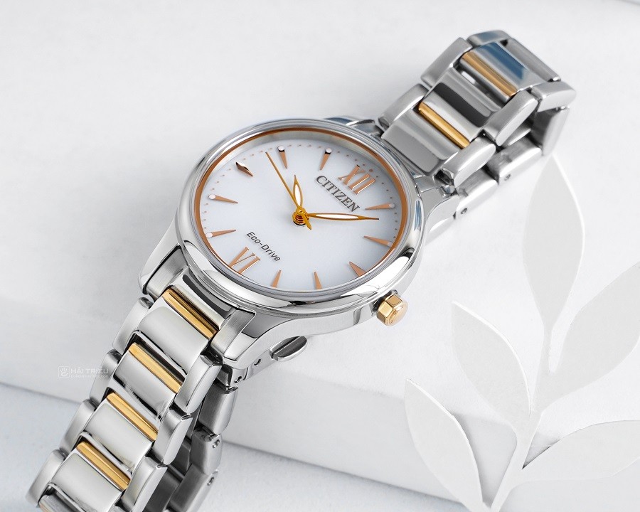 Đồng hồ Citizen Eco-Drive EM0895-73A chính hãng 100% - ảnh 2