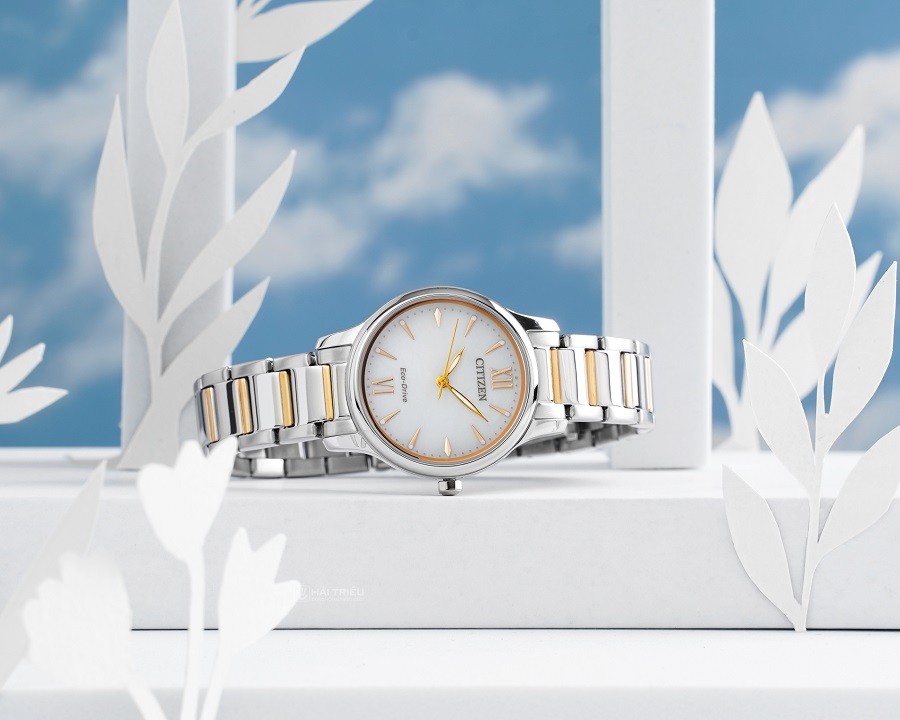Đồng hồ Citizen Eco-Drive EM0895-73A chính hãng 100% - ảnh 3