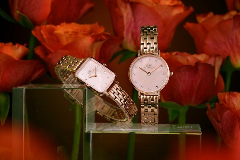 Đồng hồ Daniel Wellington Quadro 5-Link DW00100621 chính hãng 100% - hình 2