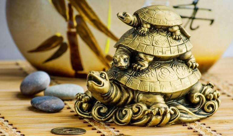 Rùa phong thủy - ảnh 21