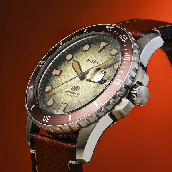 Đồng hồ Fossil Blue FS5961 chính hãng 100% - ảnh 3