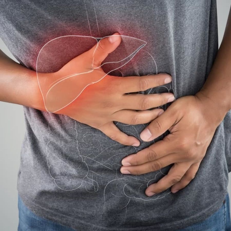 Cây cỏ mực trị bệnh gan hiệu quả - ảnh 4
