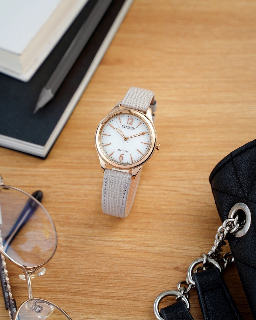 Đồng hồ Citizen Eco-Drive EM0509-10A chính hãng 100% - ảnh 4