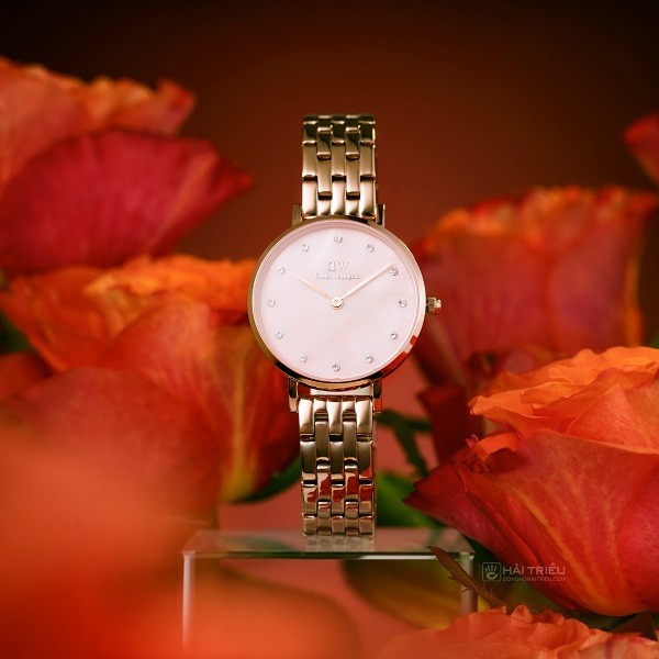 Đồng hồ Daniel Wellington Petite 5-Link DW00100617 chính hãng 100% - Ảnh 4