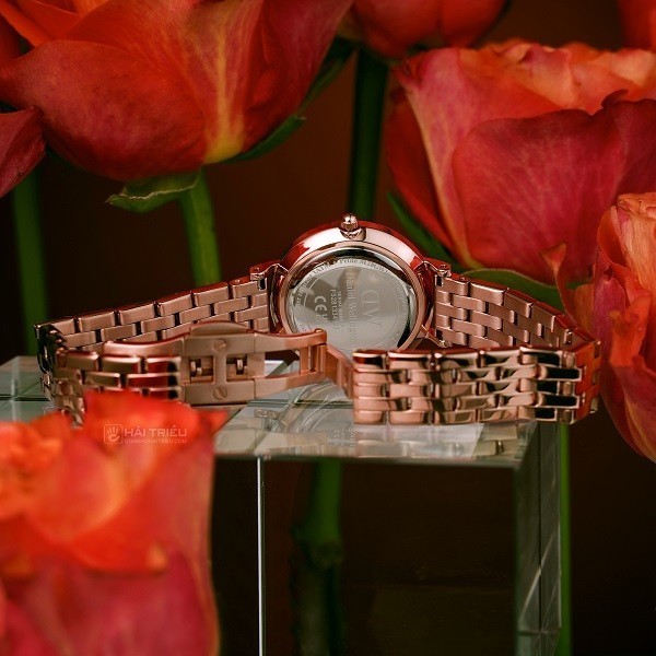 Đồng hồ Daniel Wellington Petite 5-Link DW00100617 chính hãng 100% - Ảnh 5