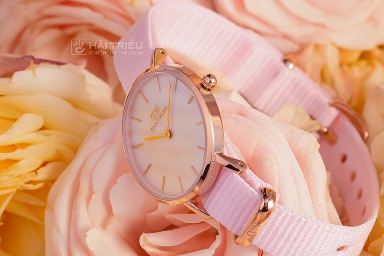 Đồng hồ Daniel Wellington Petite Special Edition DW00100511 chính hãng 100% - Ảnh 5