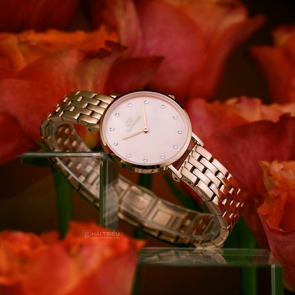 Đồng hồ Daniel Wellington Petite 5-Link DW00100617 chính hãng 100% - Ảnh 6