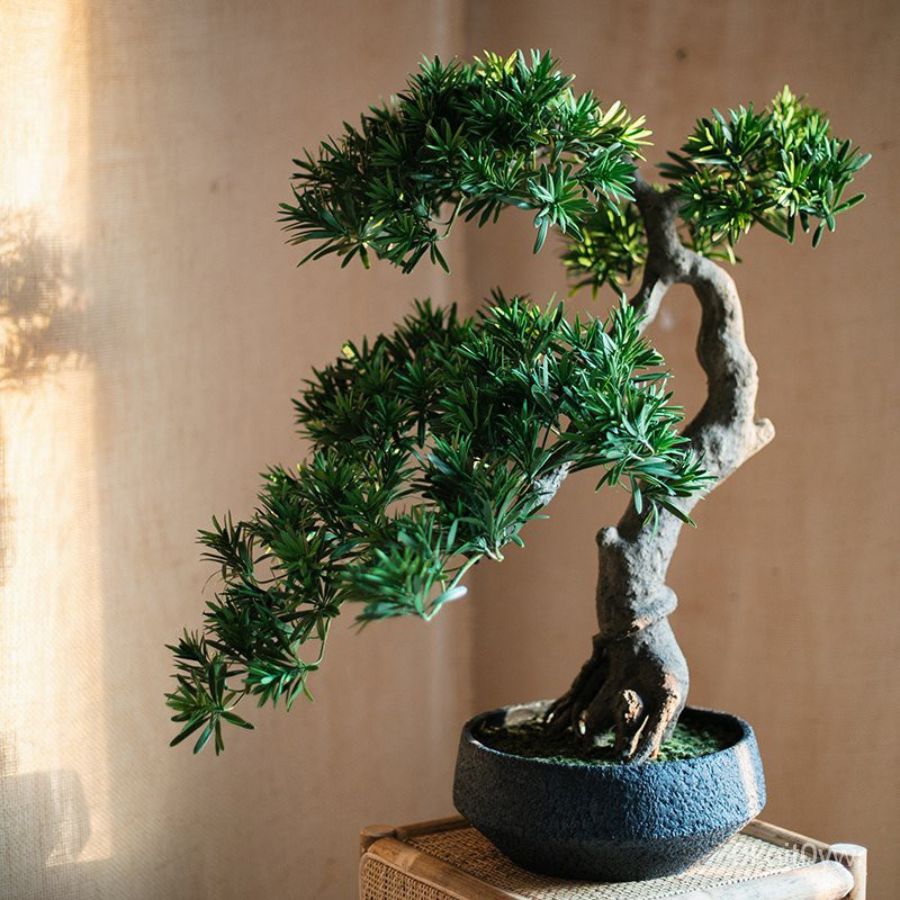 Ấn đường là gì, đoán tướng số qua khí sắc và hình dạng - Ảnh 10