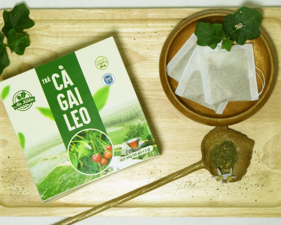 Cây cà gai leo có tác dụng gì, những ai không nên uống - Ảnh 11