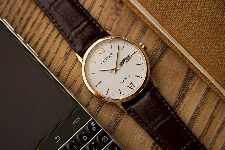 Citizen Collection Eco-Drive BM9012-02A Solar Watch