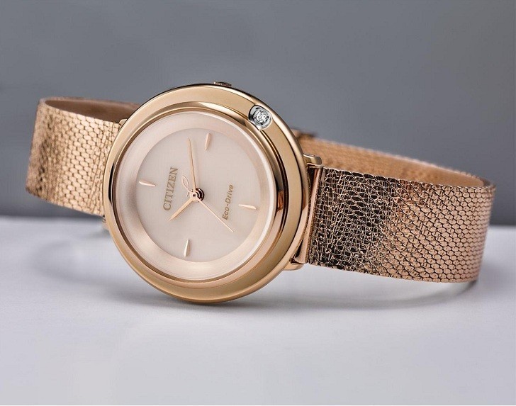Đồng hồ Eco-Drive Citizen EM0642-87P năng lượng ánh sáng - Ảnh 1