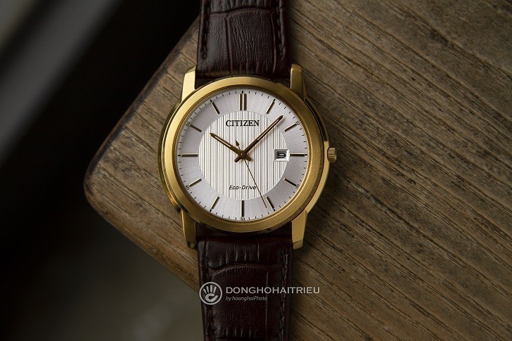 Đồng hồ Eco-Drive Citizen FE6012-11A năng lượng ánh sáng - Ảnh 1