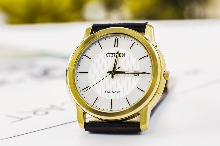 Đồng hồ Eco-Drive Citizen FE6012-11A năng lượng ánh sáng - Ảnh 3