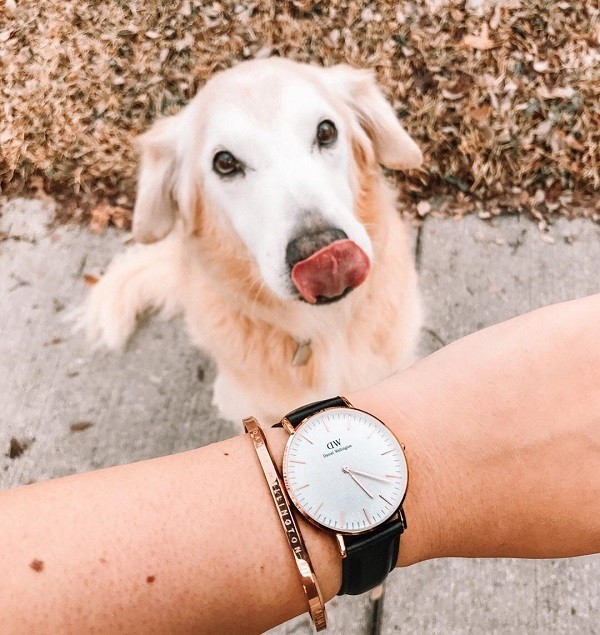 5 lý do phái mạnh nên bỏ túi đồng hồ Daniel Wellington DW00100014 - Ảnh 1