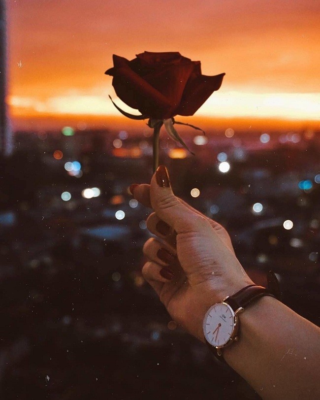 Đồng hồ nữ Daniel Wellington DW00100174 thay pin miễn phí - Ảnh 6