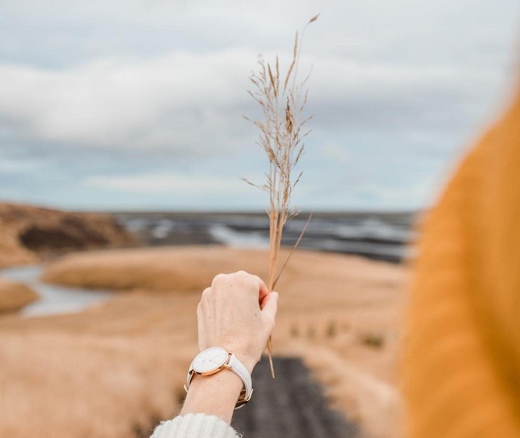 Đồng hồ nữ Daniel Wellington DW00100250 thay pin miễn phí - Ảnh 1