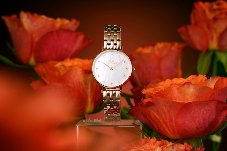 Đồng hồ Daniel Wellington Petite 5-Link DW00100613 chính hãng 100% - Ảnh 3