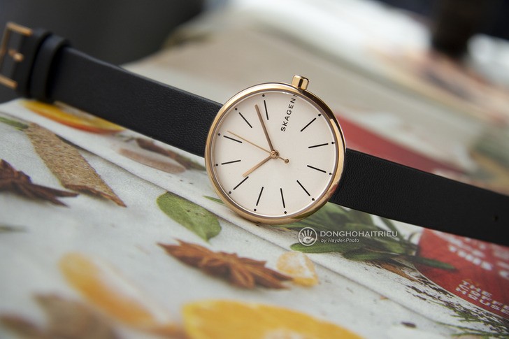 Đồng hồ Skagen SKW2592 giá rẻ, miễn phí thay pin trọn đời - Ảnh 1