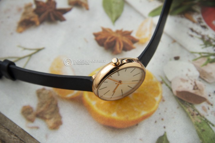 Đồng hồ Skagen SKW2592 giá rẻ, miễn phí thay pin trọn đời - Ảnh 5