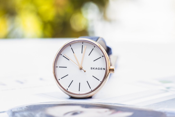 Đồng hồ Skagen SKW2592 giá rẻ, miễn phí thay pin trọn đời - Ảnh 6