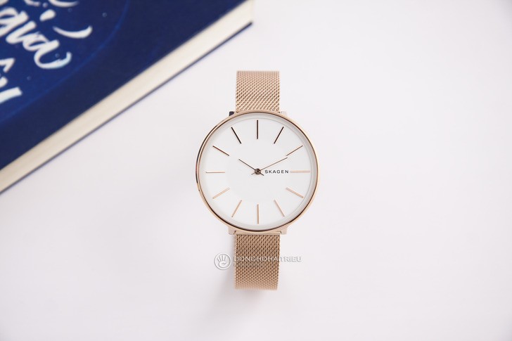 Đồng hồ Skagen SKW2688 giá rẻ, thay pin miễn phí trọn đời - Ảnh 8
