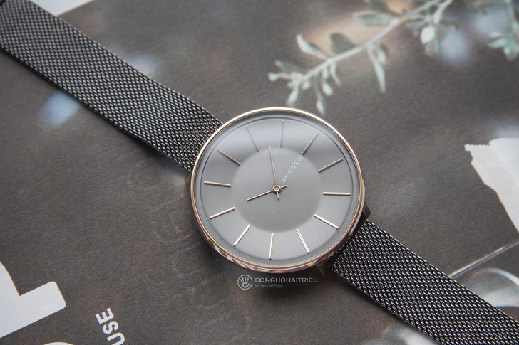 Đồng hồ Skagen SKW2689 giá rẻ, thay pin miễn phí trọn đời - Ảnh 2