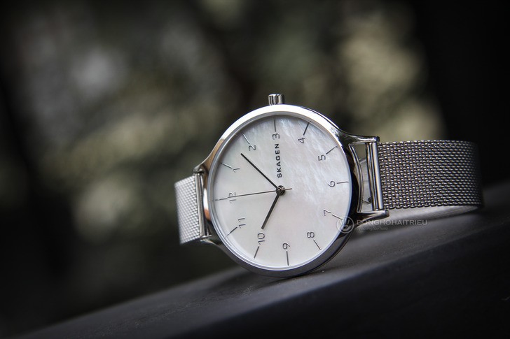 Skagen skw2701 hotsell