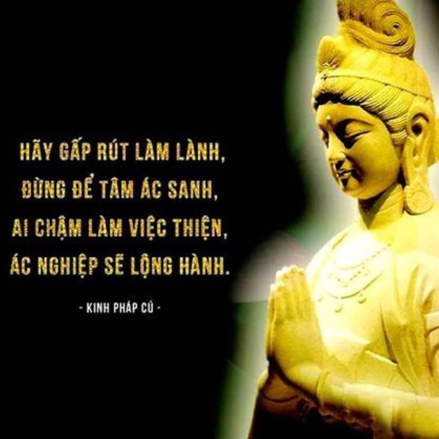 Tâm sinh tướng là gì, có đúng không, dấu hiệu tướng phúc hậu - Ảnh 6