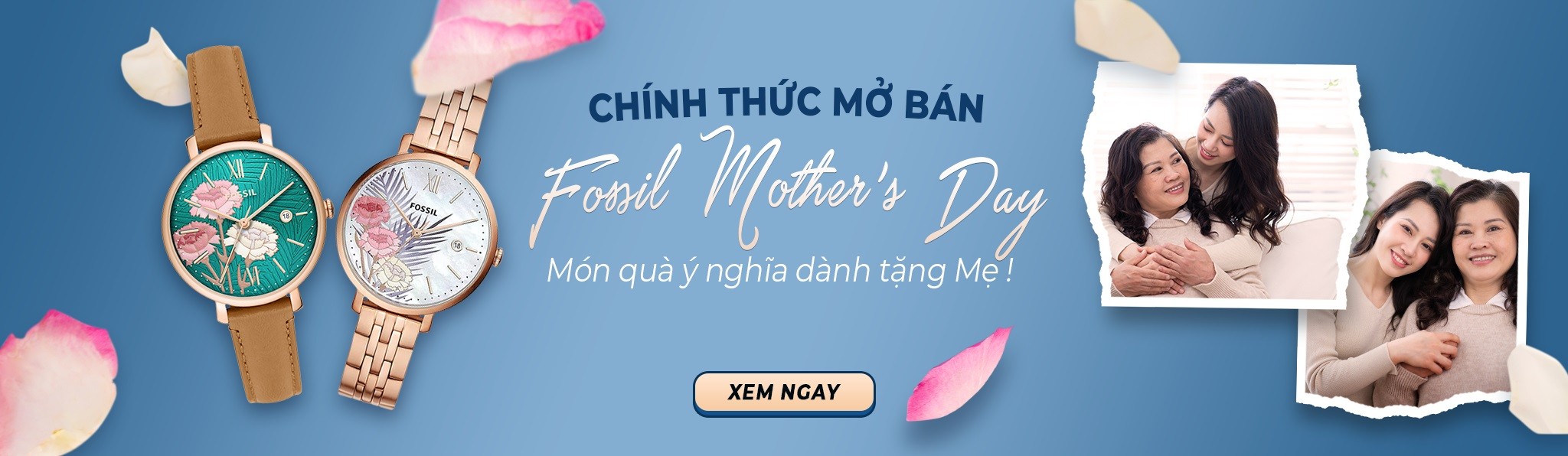 Master banner fossil mother day