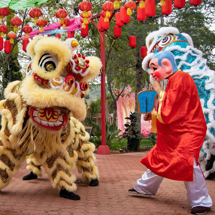 Cách làm đèn Trung thu cho bé tại nhà đẹp, siêu đơn giản - Ảnh 3