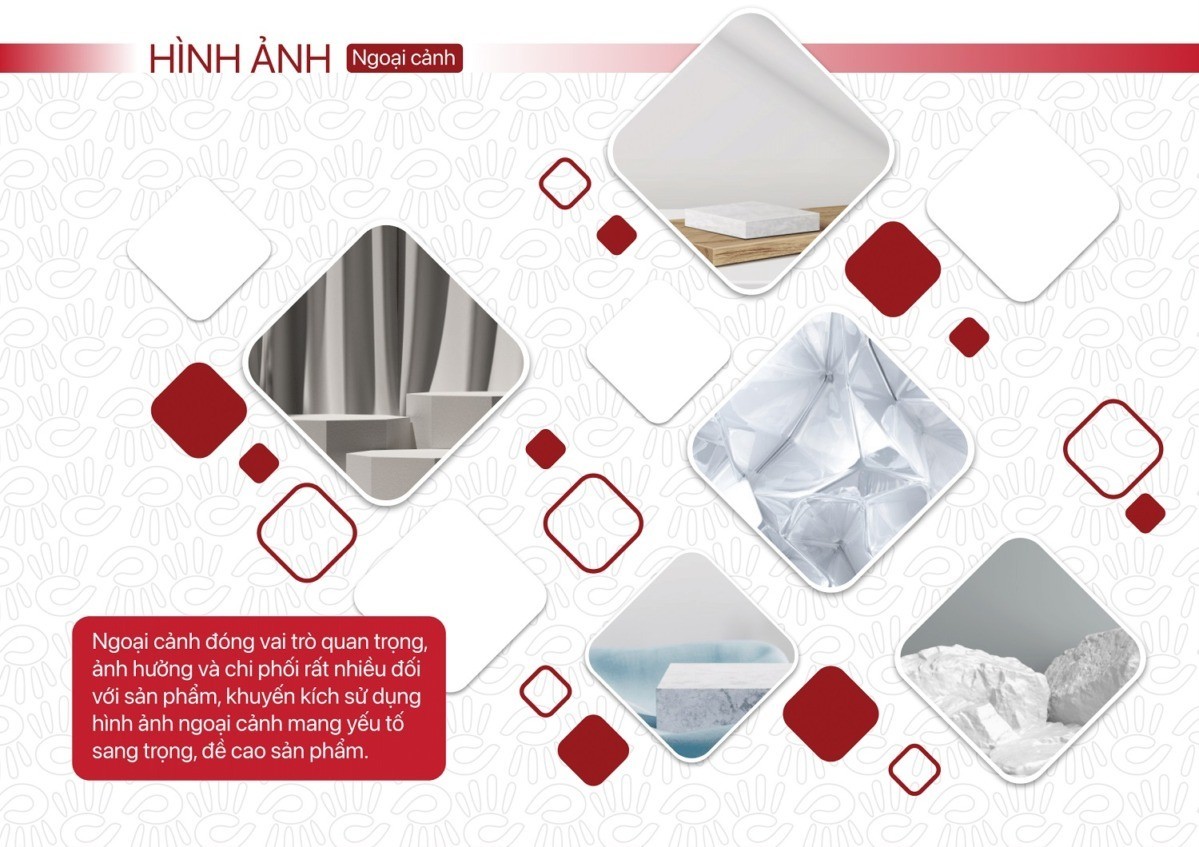 Quy tắc màu sắc Đồng Hồ Hải Triều - Ảnh: 15