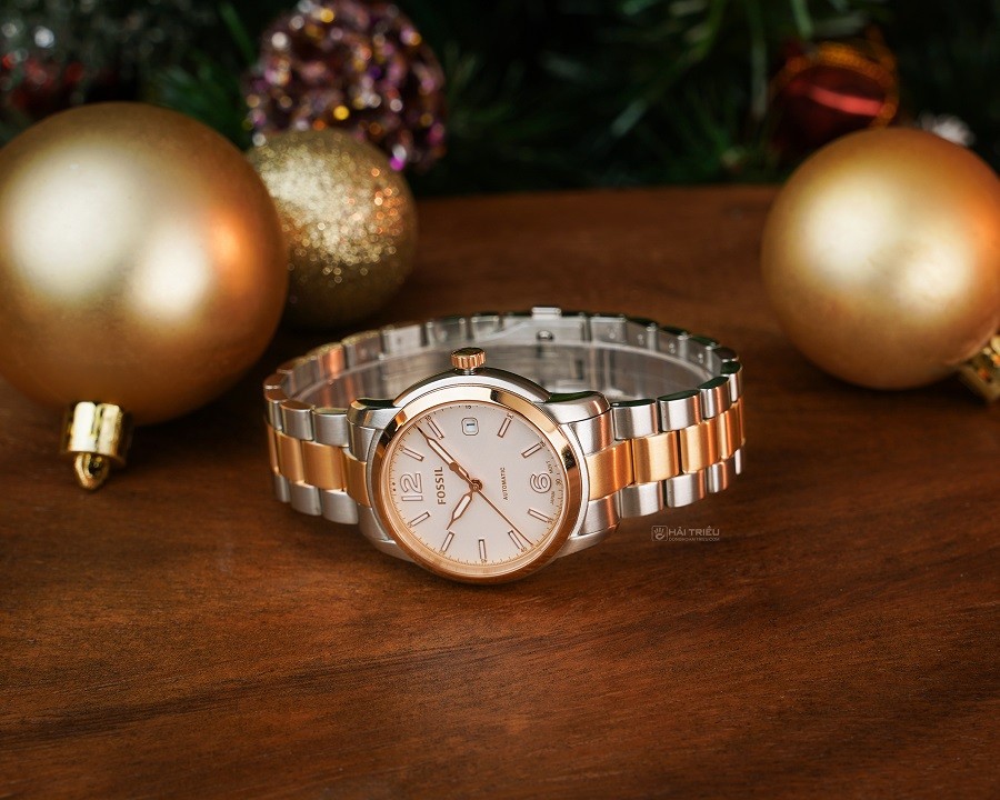 Đồng hồ Fossil Heritage ME3227 - ảnh 4