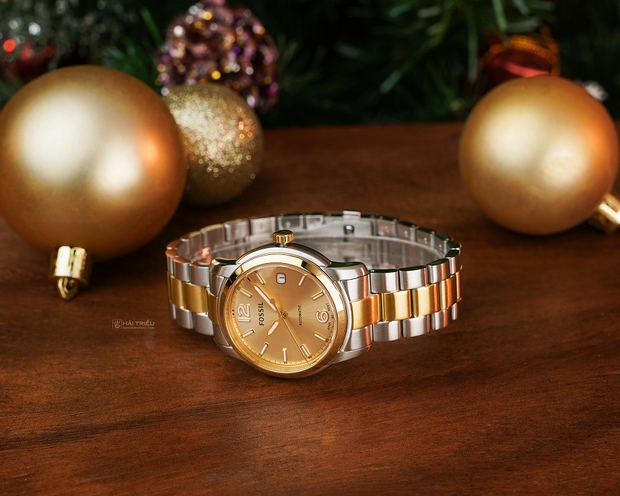 Đồng hồ Fossil Heritage ME3228 - ảnh 4