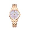 Đồng hồ Citizen EM0893-87Y