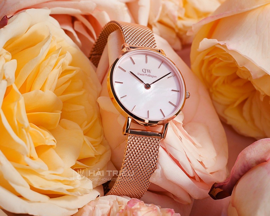 Đồng hồ Daniel Wellington DW00100513 - ảnh 2