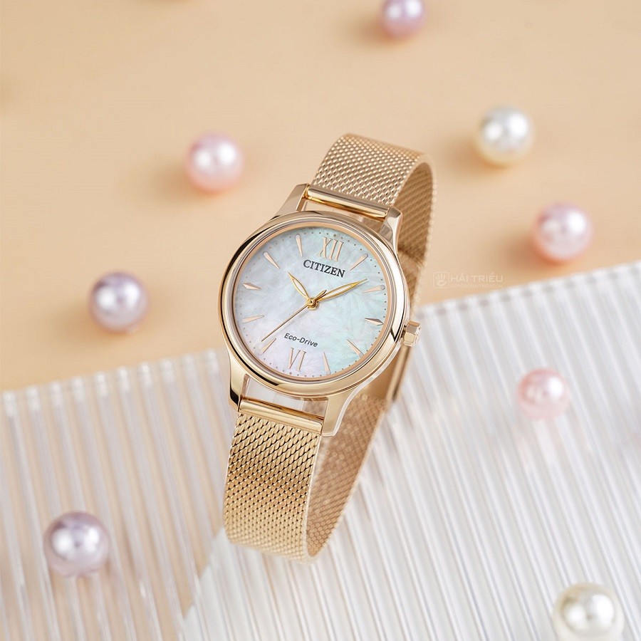 Đồng hồ Citizen EM0892-80D - ảnh 1